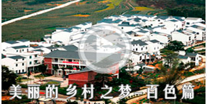 月餅全自動(dòng)包裝機(jī)視頻水印